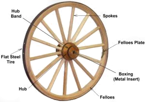 Wood Hub Wagon Wheel
